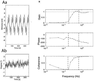 Visual Modulation of Human Responses to Support Surface Translation